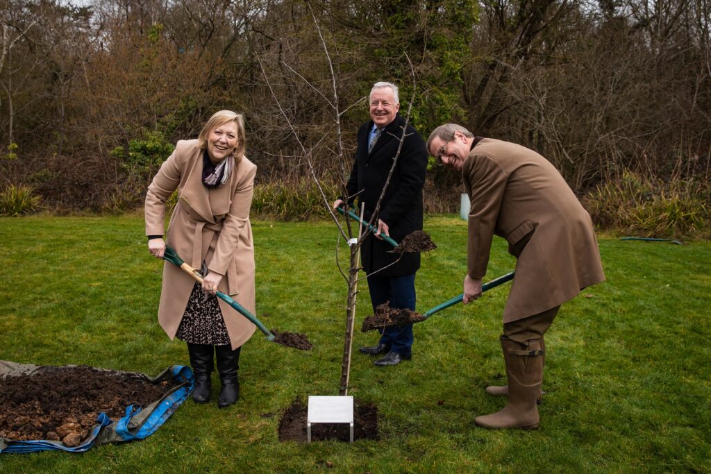 Wates Tree Planting at QEF web res