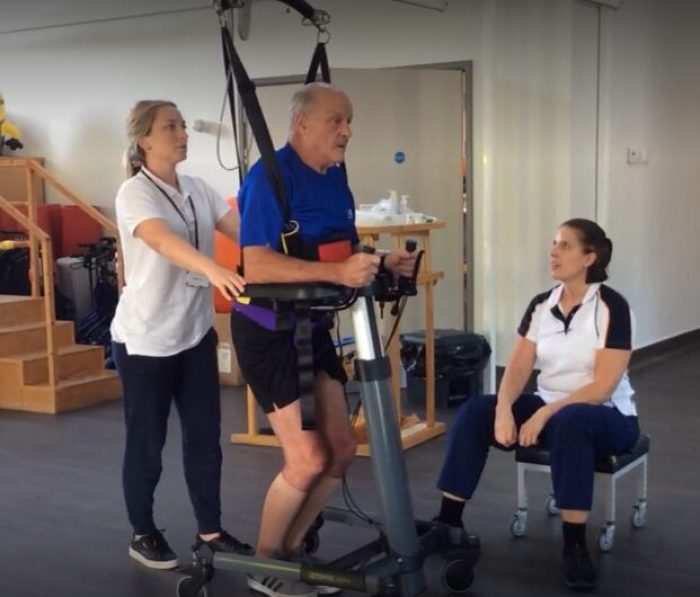 ST walker and hoist